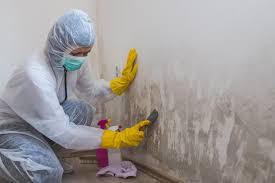 Best Real Estate Mold Inspection  in Swansea, IL